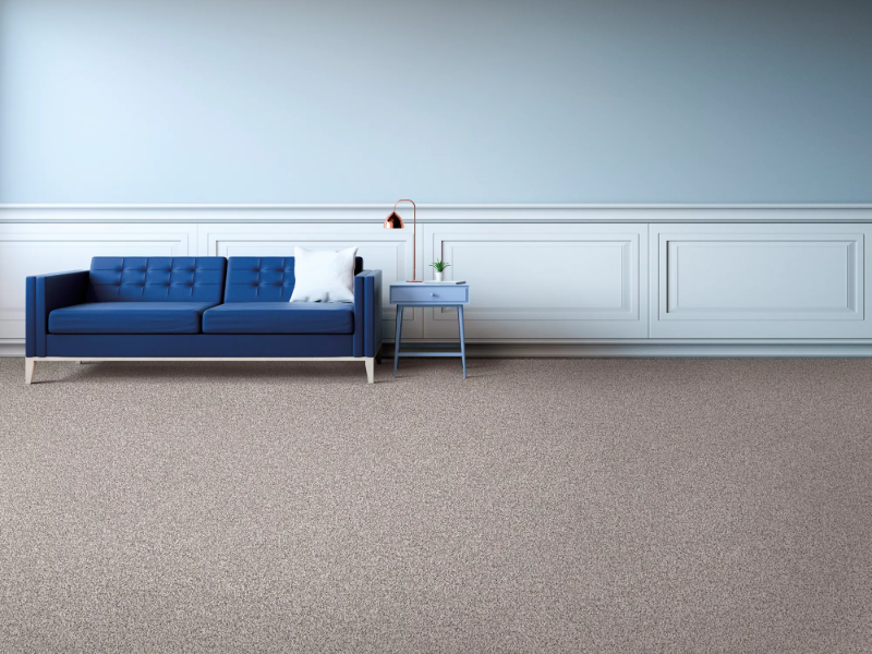 Open room with greige carpet flooring