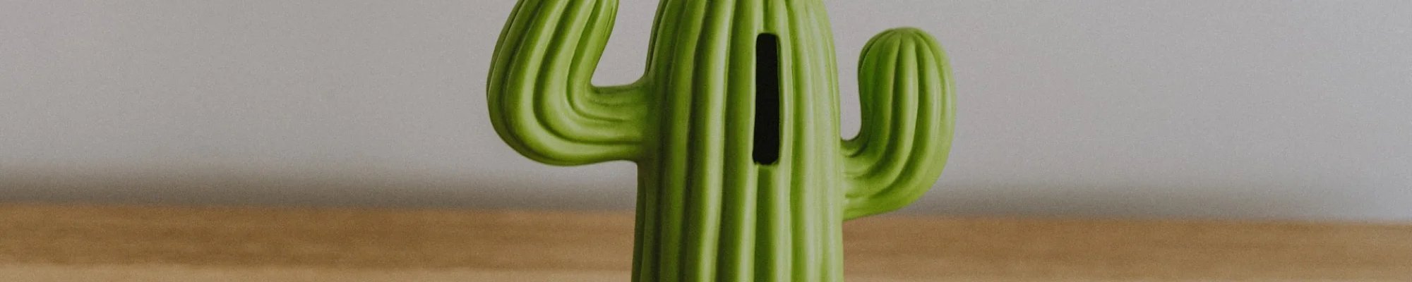 Green cactus piggy bank