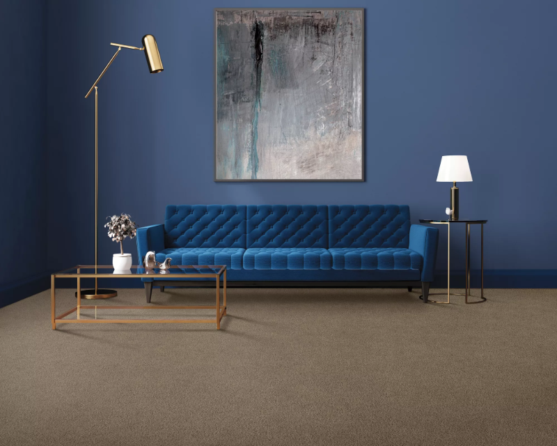 Blue sofa in a room with carpet flooring