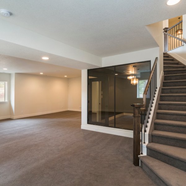Basement rec room with plush carpet flooring